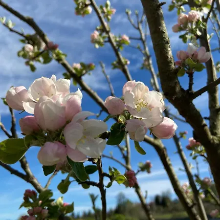 בית נופש Charmantes - Velden