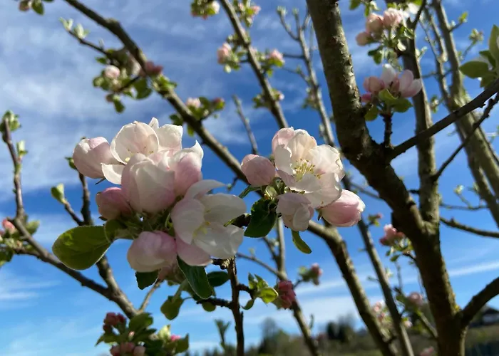 Feriehus Charmantes - Velden