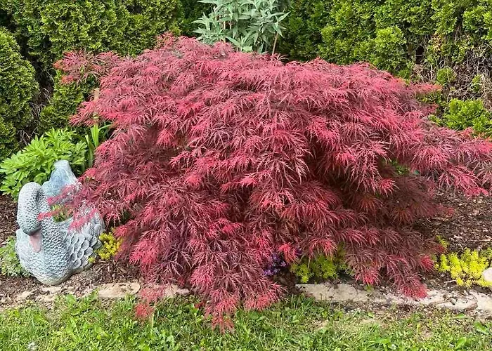 בית נופש Charmantes - Velden *